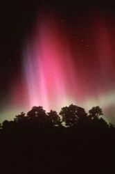 aurora_nikon_tn.jpg