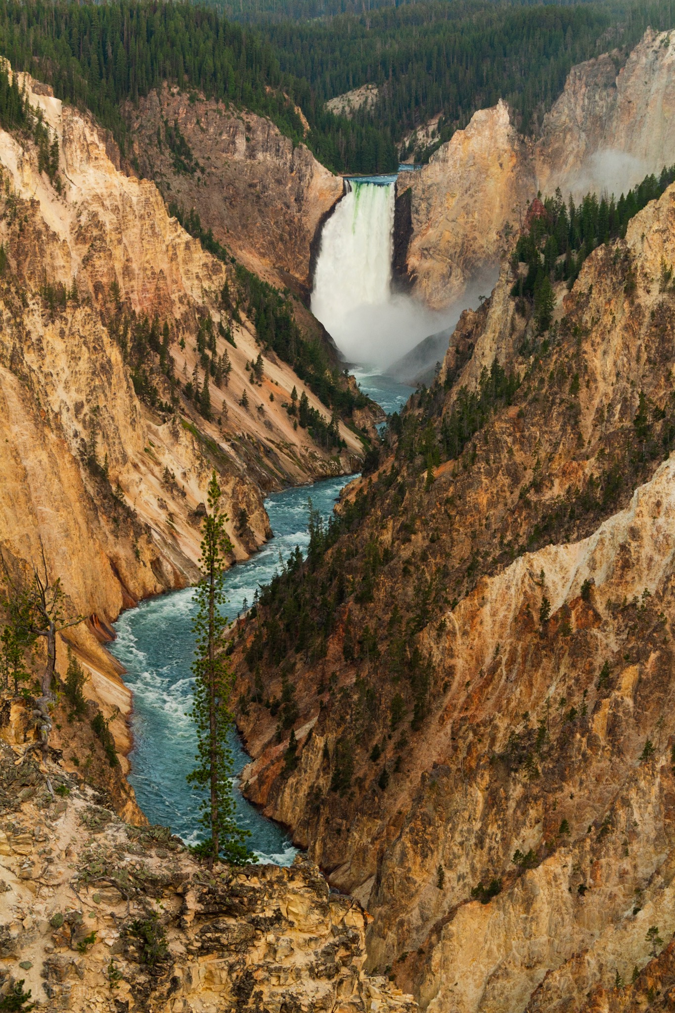 Lower Falls of Grand Canyon of Yellowstone 1