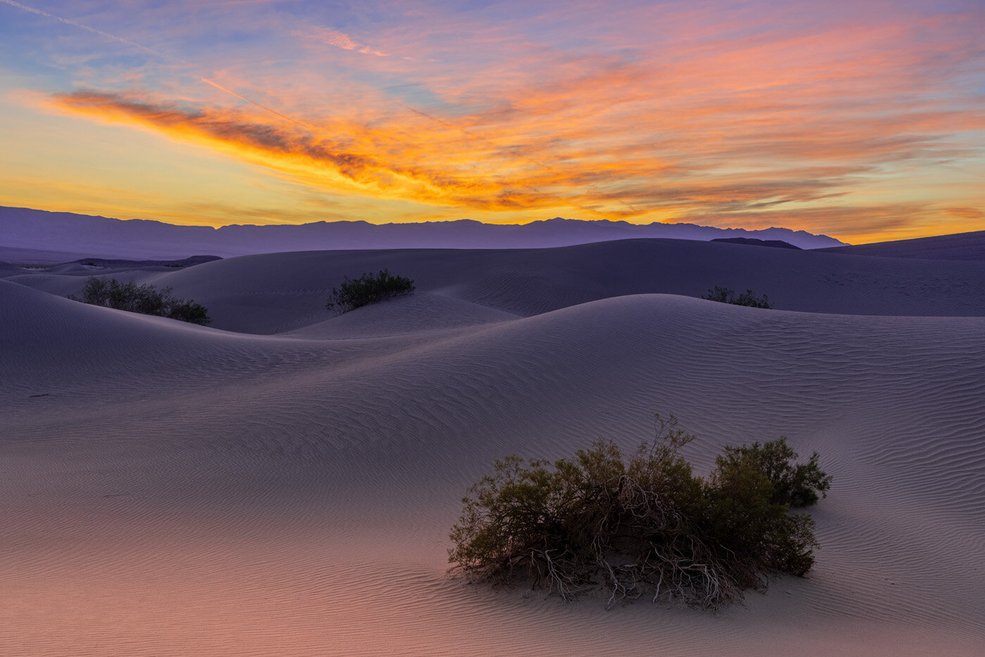 Death Valley Sand Dune Morning