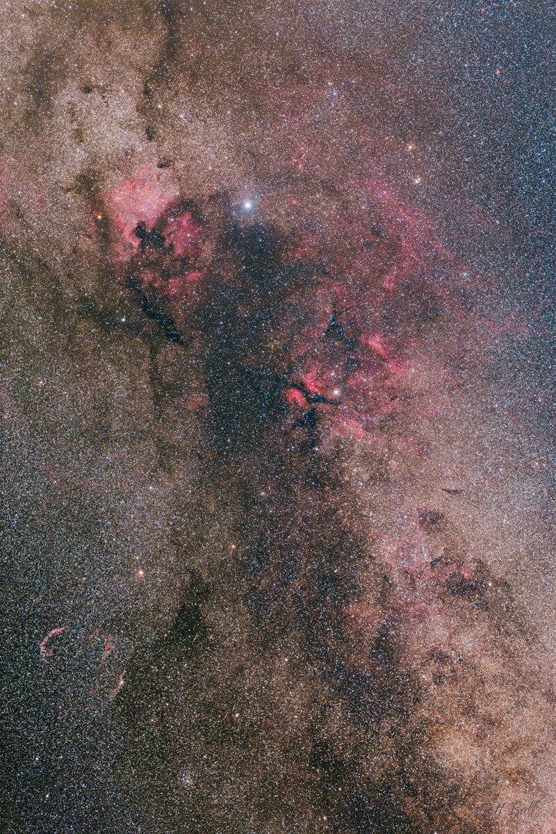 Northern Cygnus from Beech Fork State Park