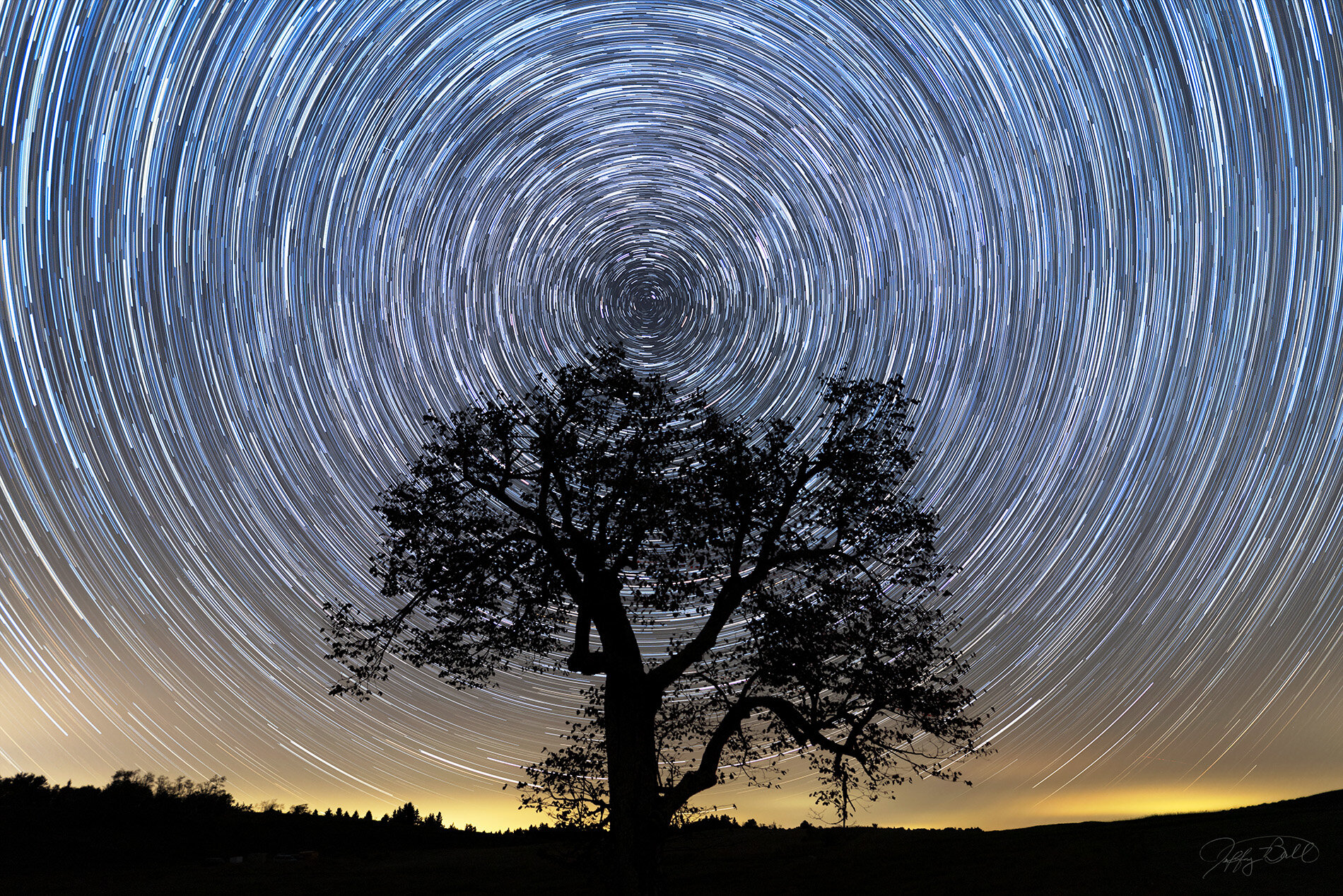 Star Tree-Experience Learning Center, Spruce Knob, WV