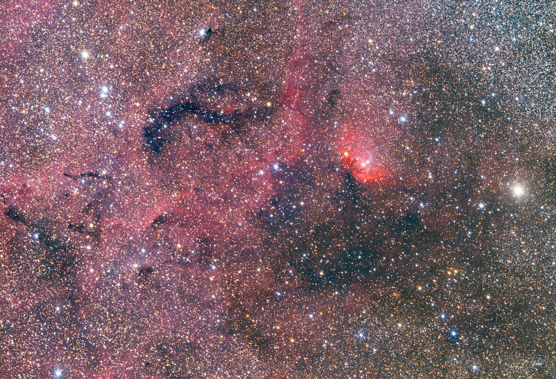 Fish on the Platter region featuring portions of B144 in Cygnus.  