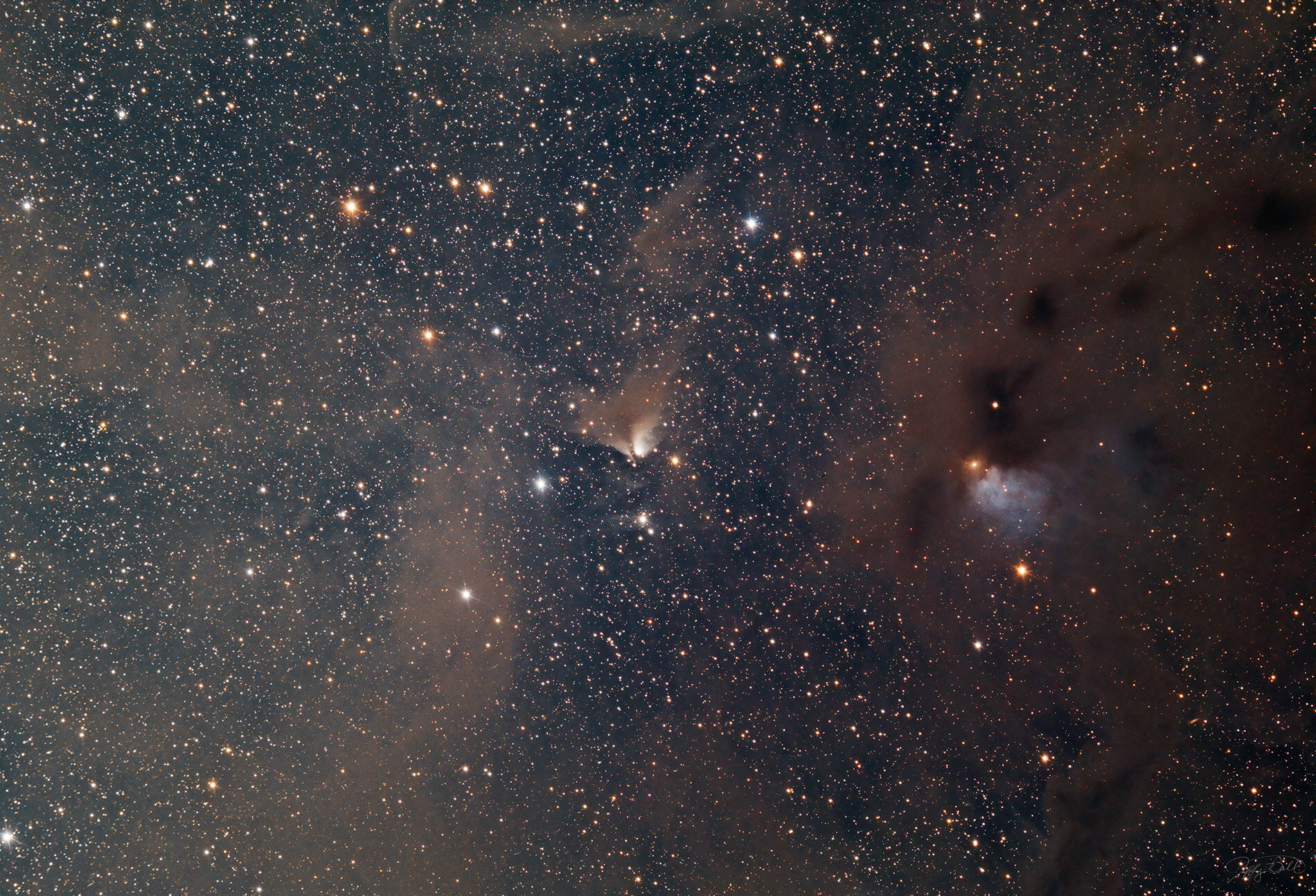 A portion from Barnard Plate #5 featuring B214 in the center.  Other dark nebula include B 7, B210, B209, B211, and B213.