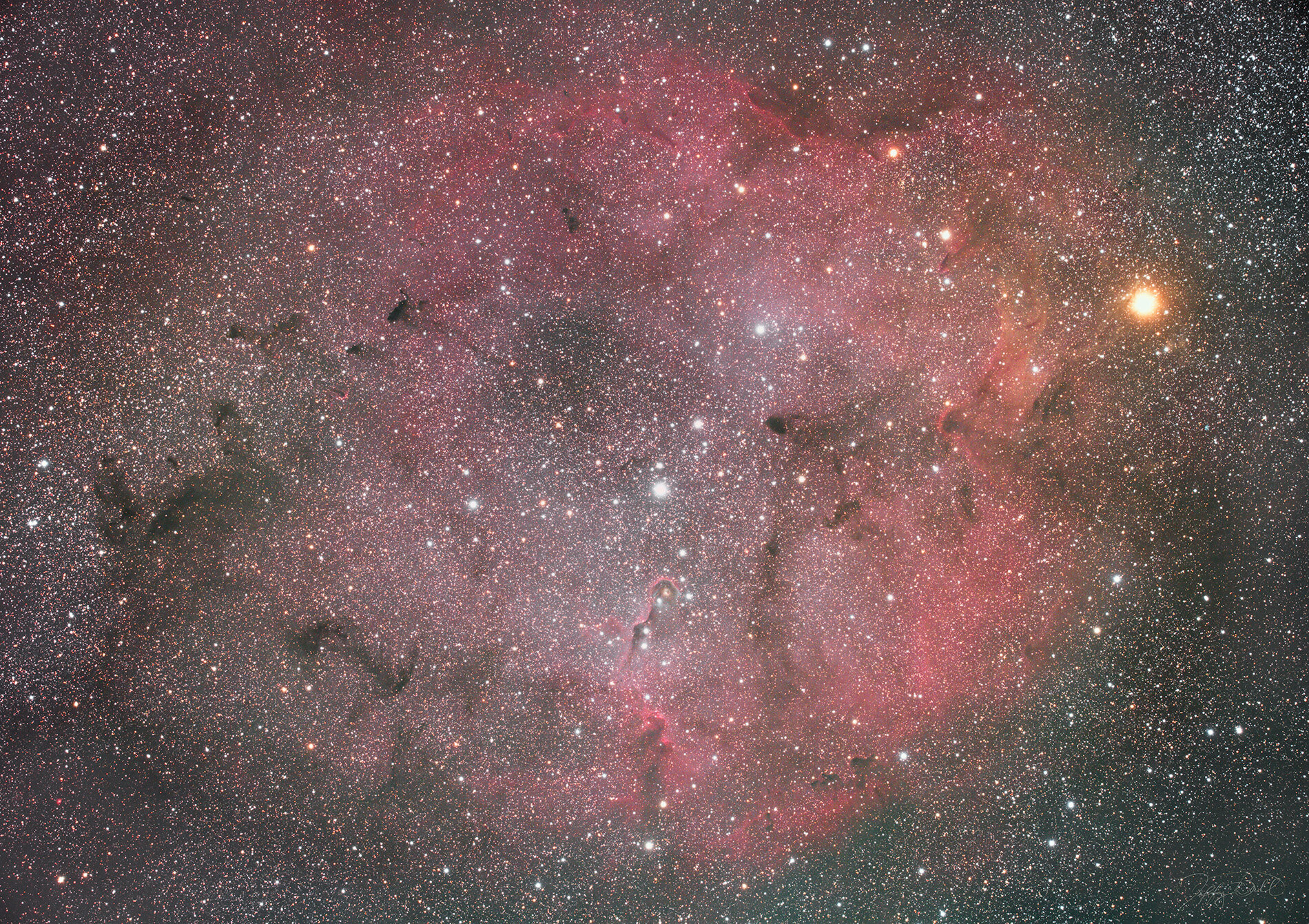 IC1396 in Cepheus