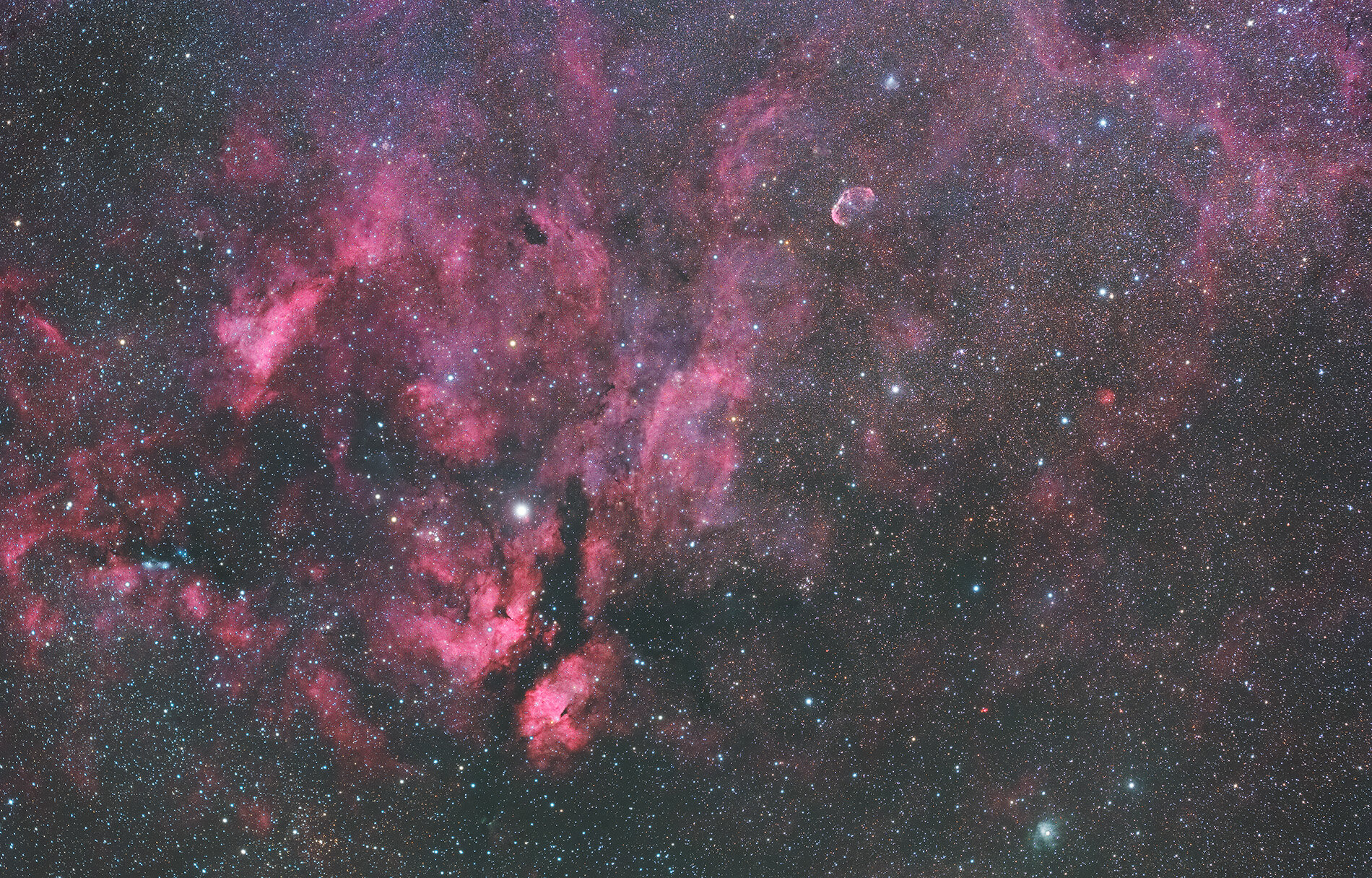 Bright star Sadr in the Cygnus constellation surrounded my wonderful nebulosity 2021.