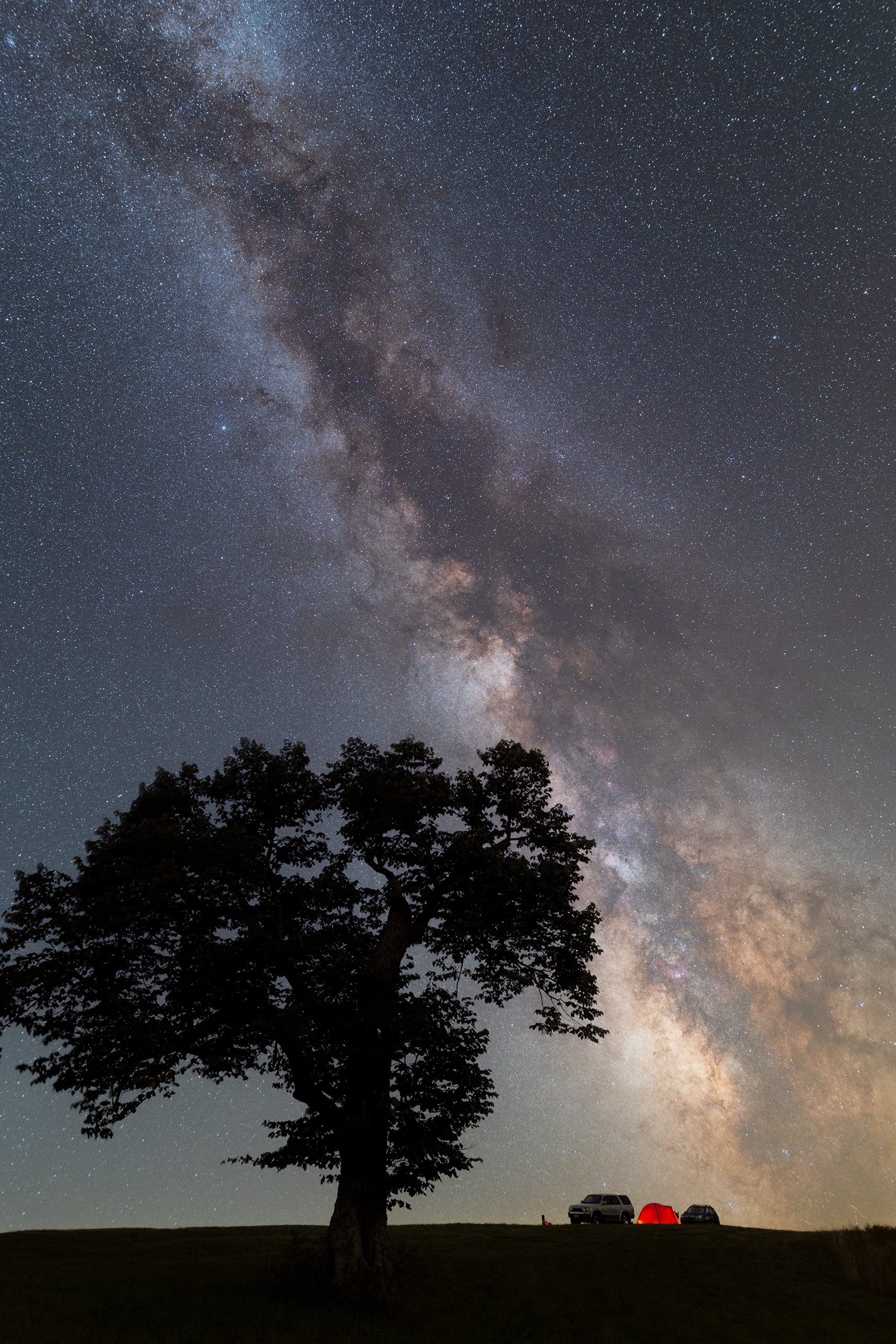 Milky Way and Tree at Experience Learning Center on Spruce Knob, WV