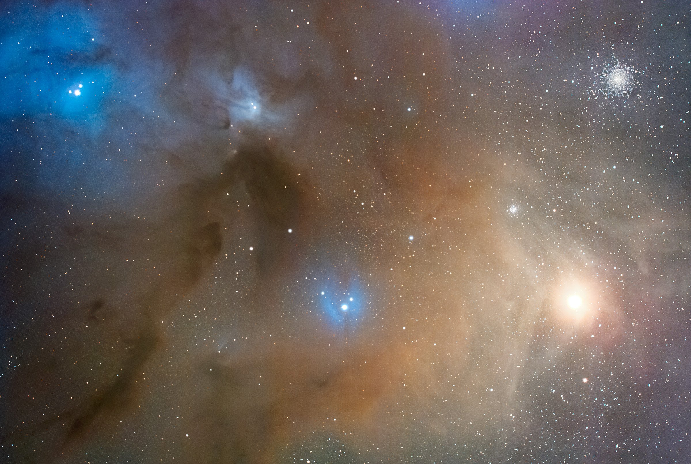Rho Ophiuchus and Antares Dust