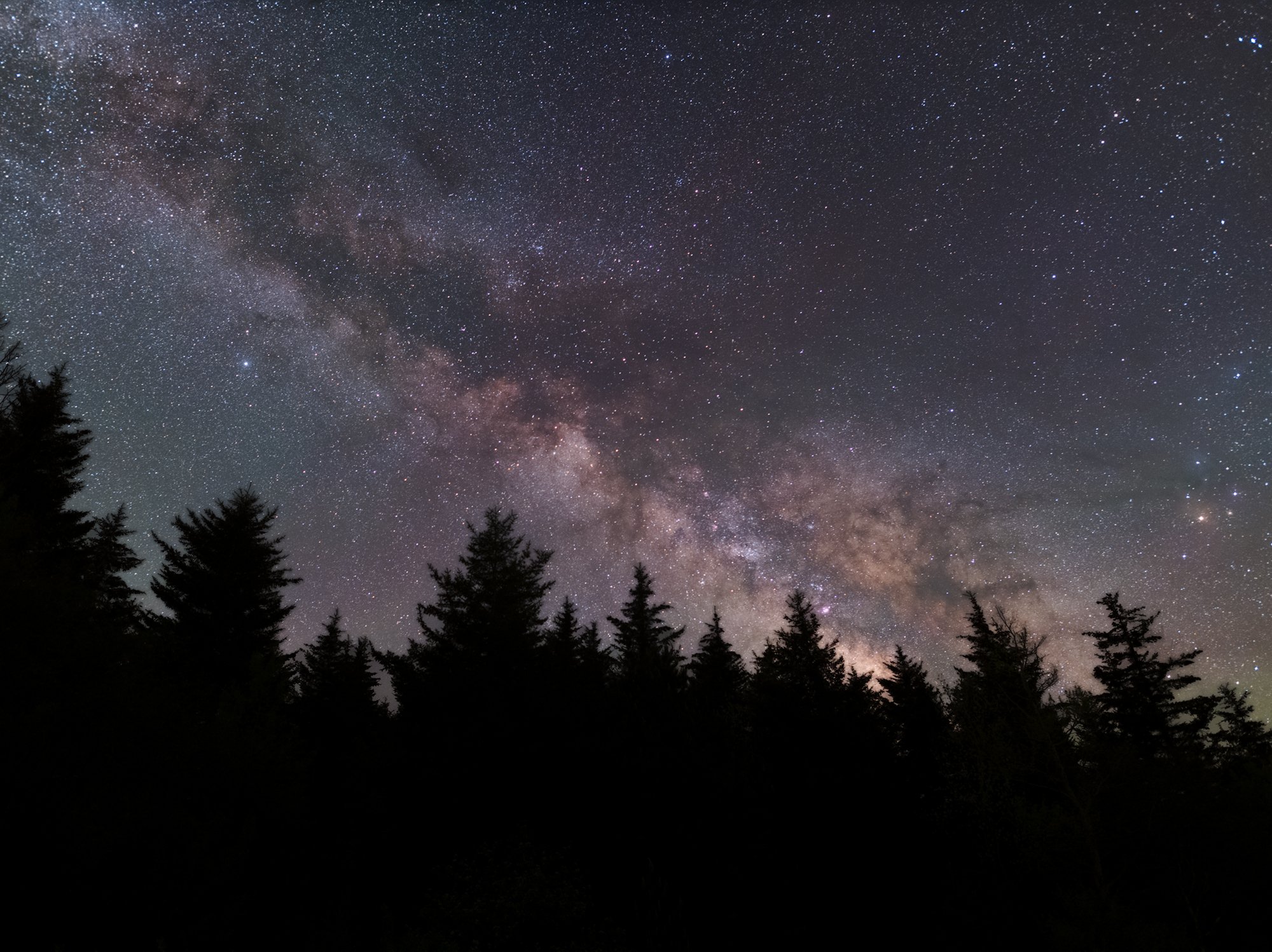 Milky Way rising over the Eastern Continental Divide in Dolly Sods