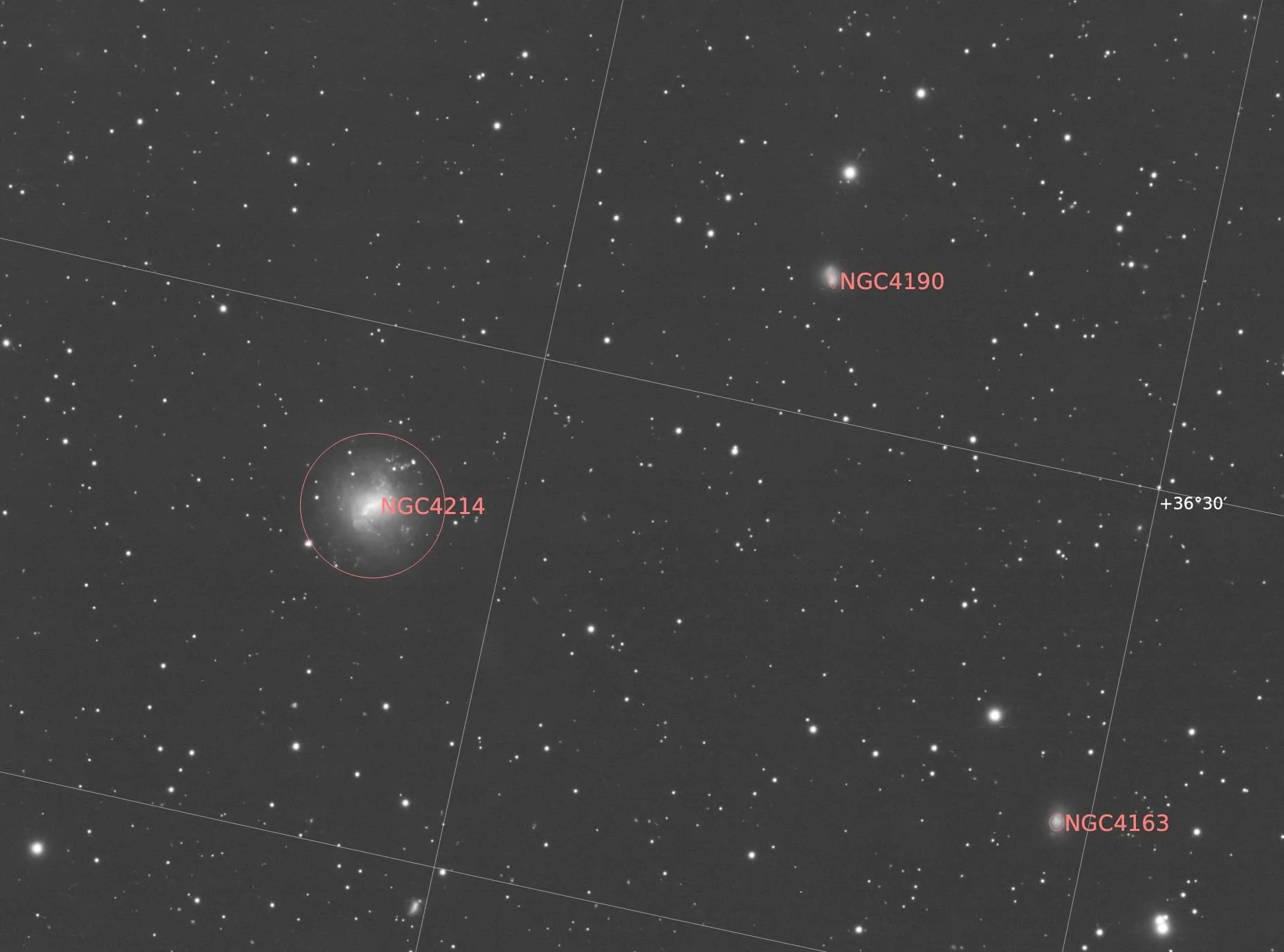 4214 (starburst Galaxy)