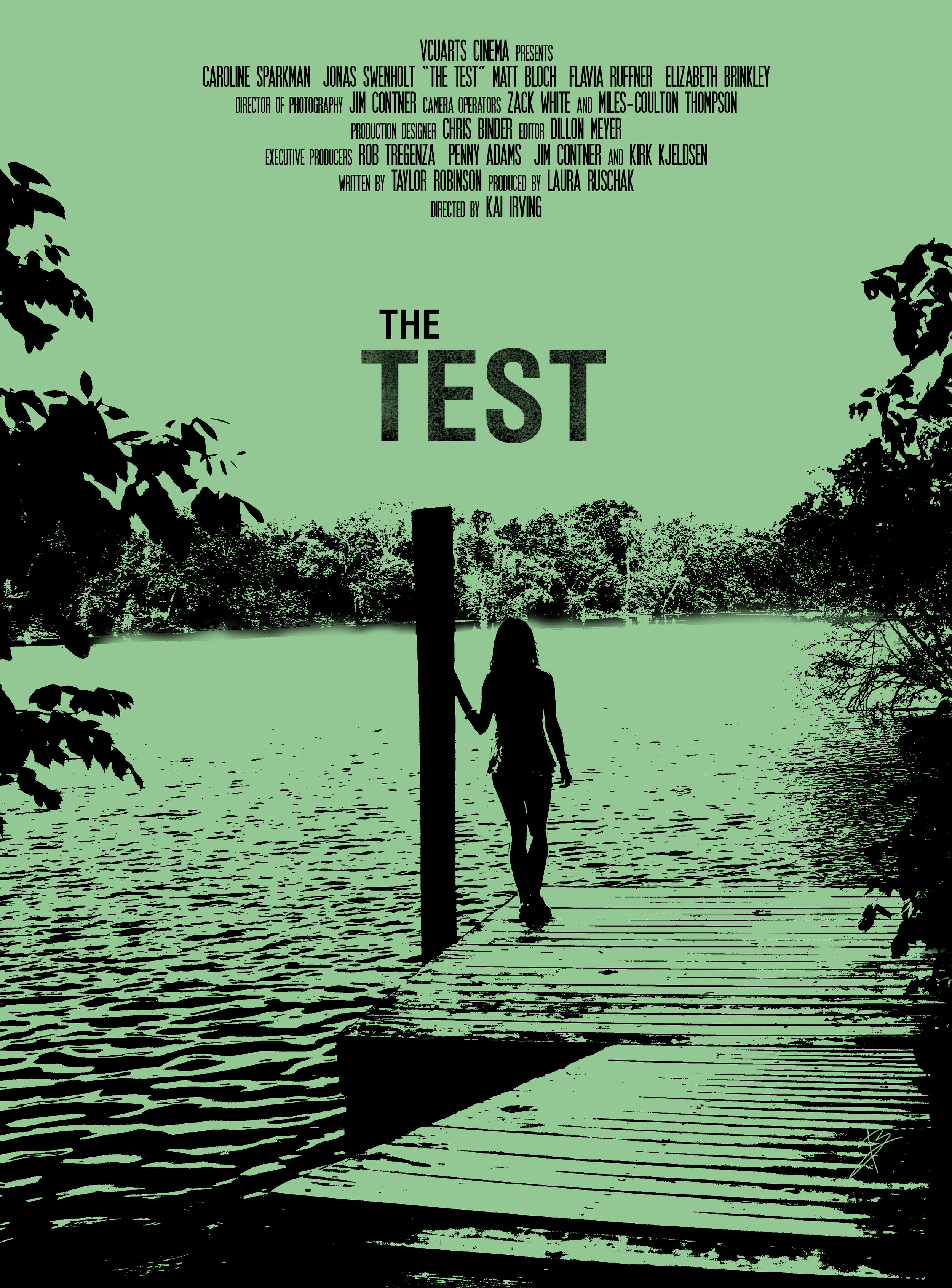 THE TEST 2 (2013)