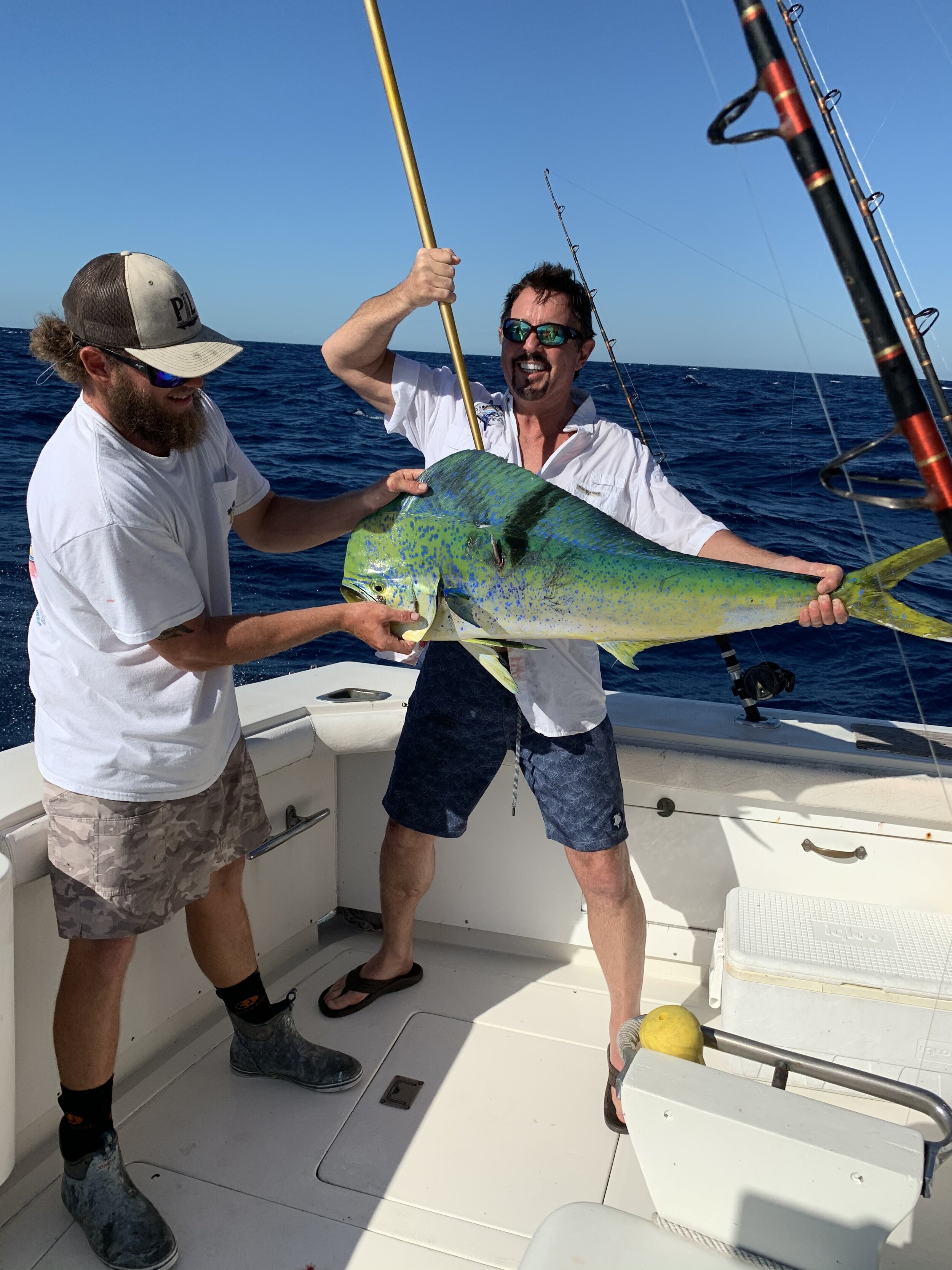 Mahi! Our charter boat "Seaclusion" was phenomenal. Thanks guys!