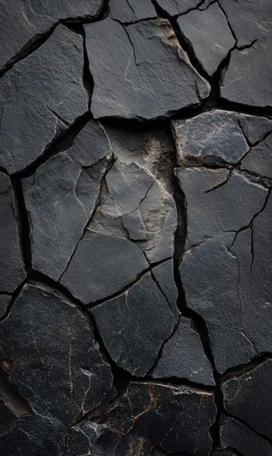 WhatsApp Image 2025-12-11 at 2.02.02 PM.jpeg