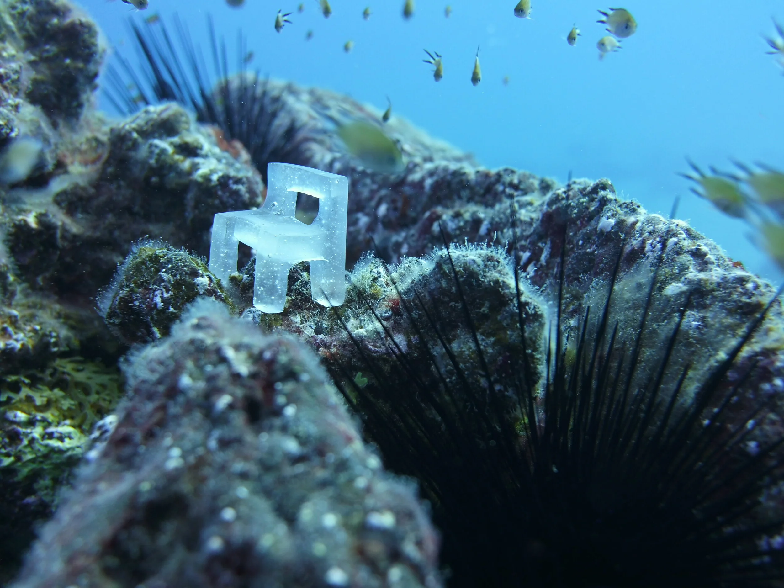 'Sinterella' Exhibition at Glor gallery.