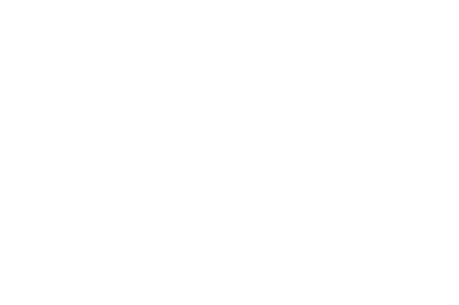 ONLINE GALLERY - AAMAS - 2021 copia.png