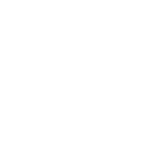 Ros Film festival.png