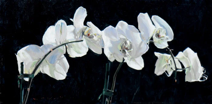 White Orchid
