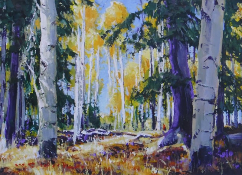 Forest Color