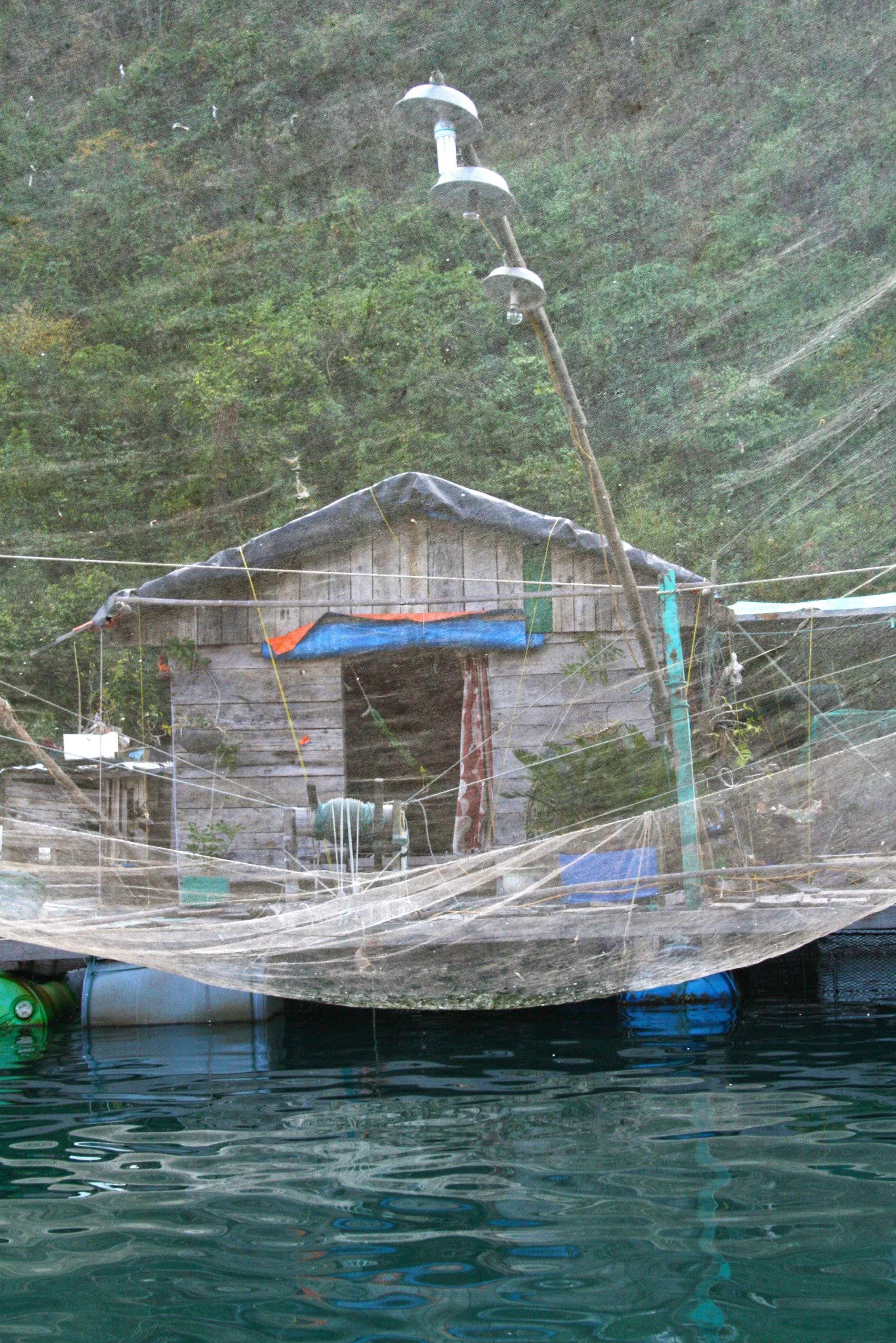 net.jpg