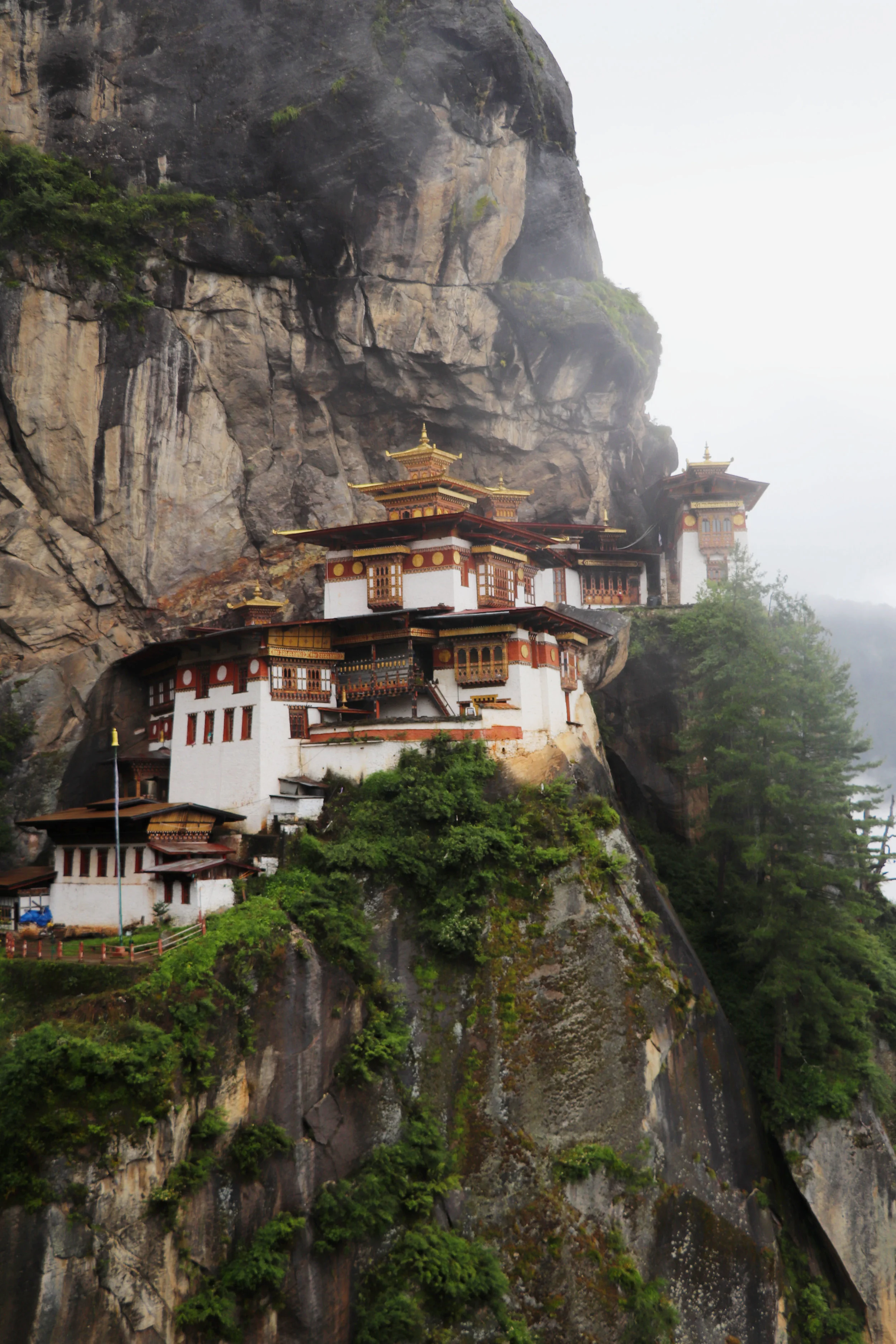 tiger'snest.jpg