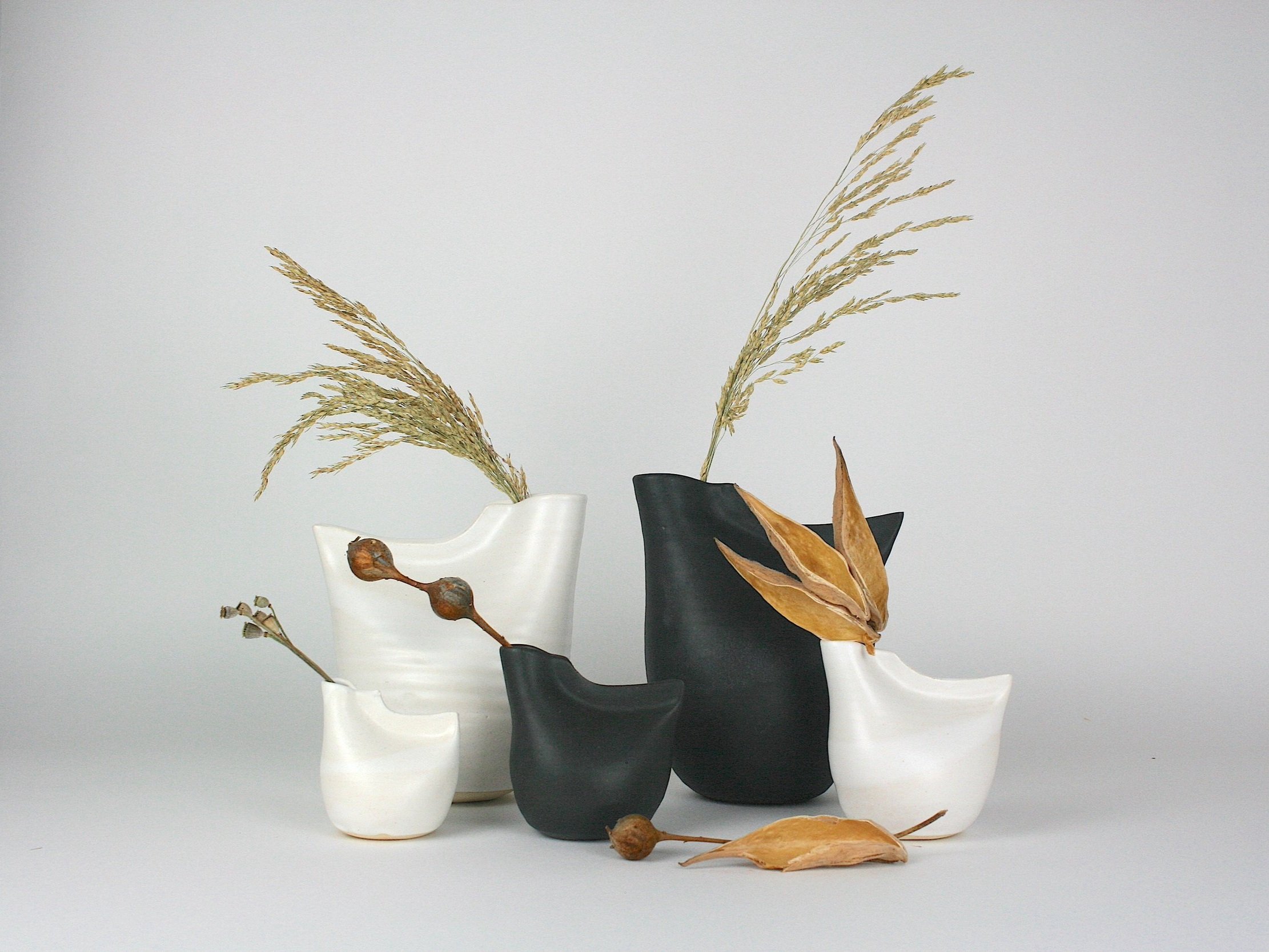 Mixed+Group+with+seed+pods+copy.jpg