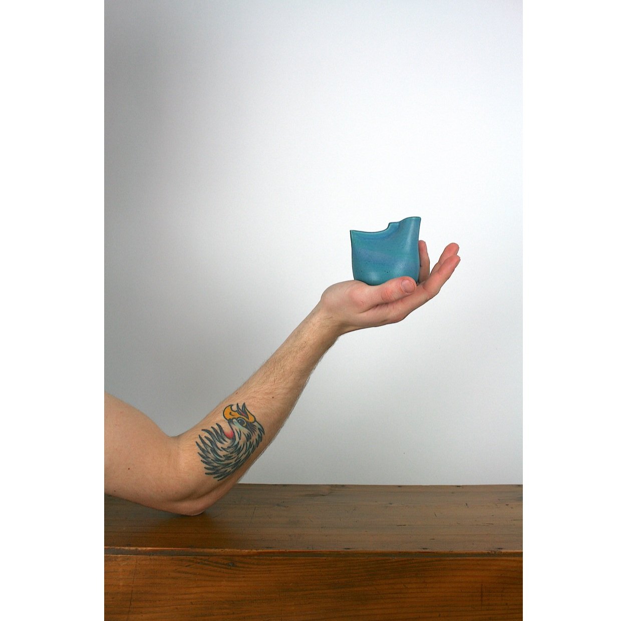 Tiny+Bluebird+in+the+Hand.jpg