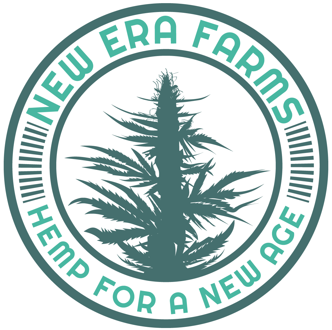 30 New Era Logo Png Logo Icon Source