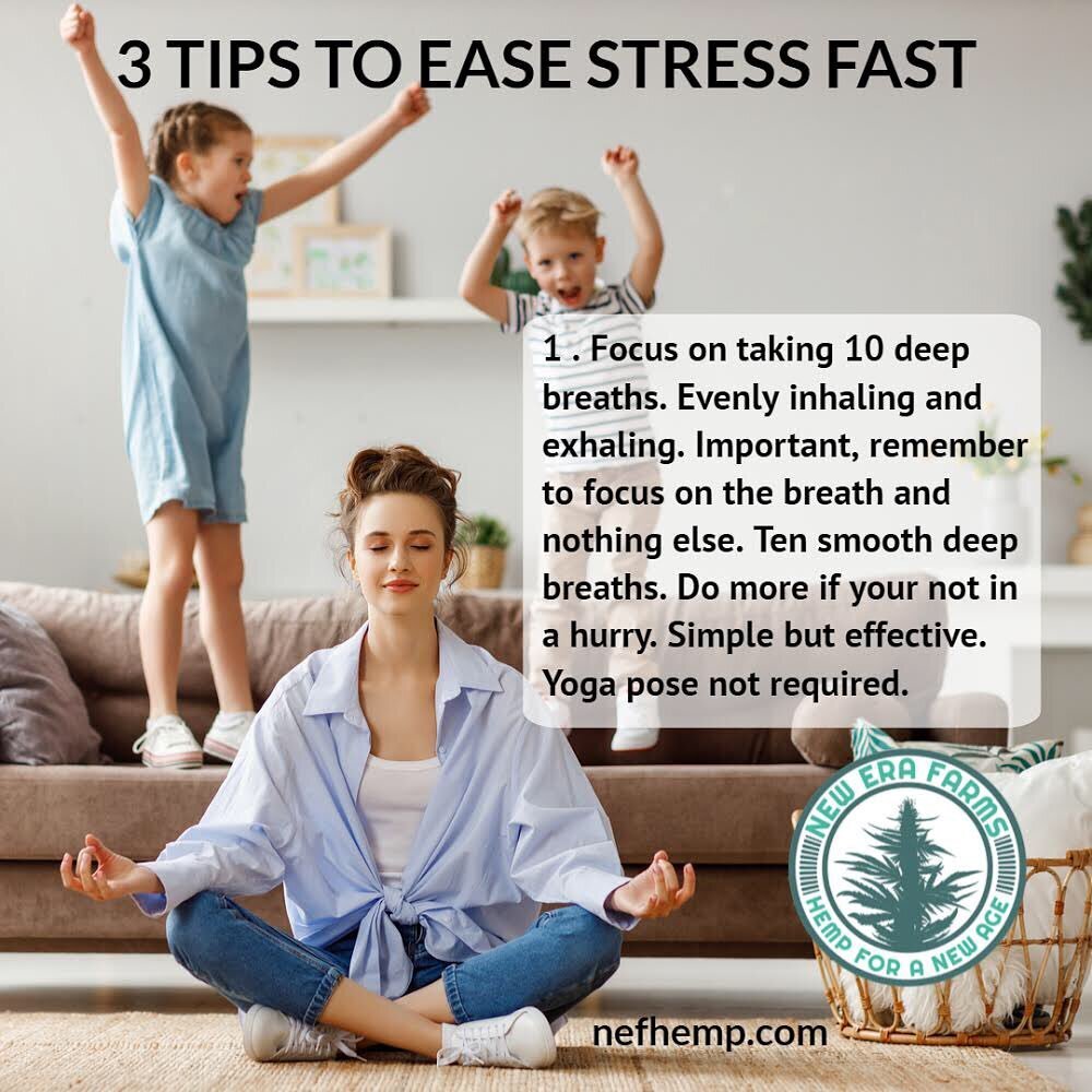 3 tips to ease stress fast.

We love using clean plant based products for every day solutions. 

ALL Orders over $49 will receive a FREE oil roller thru January 31st.

Our OIL SALE is also live. All full spectrum oils and pet oils are marked down 20%