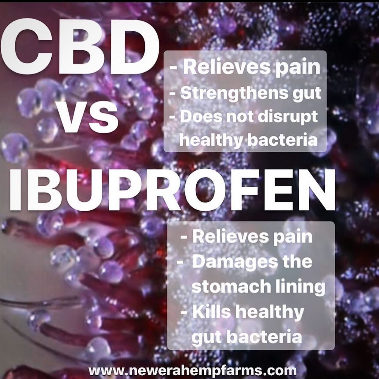 3 reasons to choose a CBD tincture vs IBUPROFEN. 

Don&rsquo;t forget to use promo code: 

  NEF40 for 40% OFF 

your whole order thru 2/22.

#organic #plantbasedsolutions #tinctures #SALE #healthytools #protectyourgut #guthealth #naturalpainrelief #