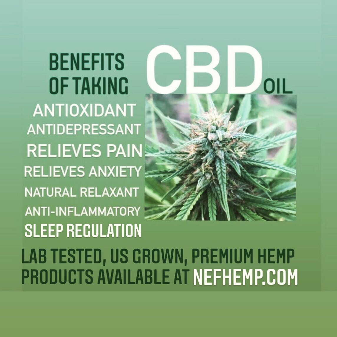 Enjoy 20% OFF our premium CBD oils over at Nefhemp.com. 

  No promo code needed

There are so many amazing benefits of taking CBD oil daily!

Our favorite, is the boost of calm &amp; stress relief that a good dose of Oil gives. What is yours? 

#nat