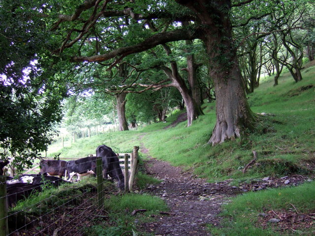 The footpath from Penwaun to Velindre