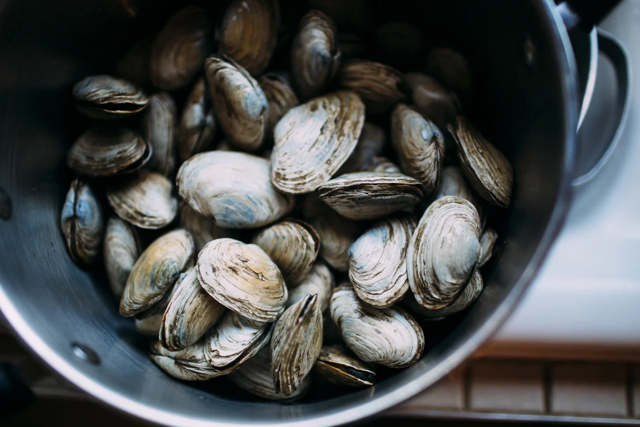 clams.jpg