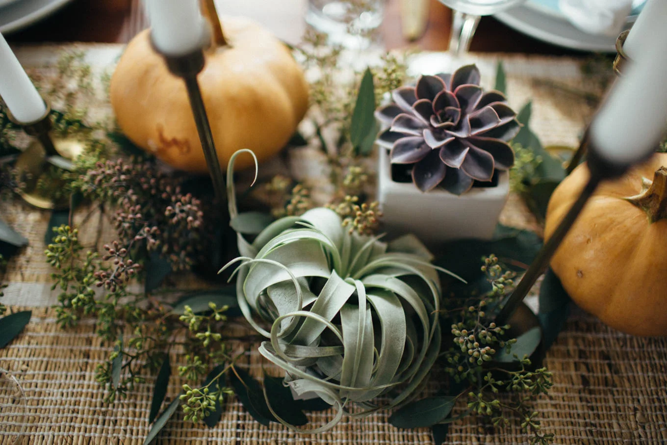 jess ann kirby tday tablescape succulent detail newport RI.jpg