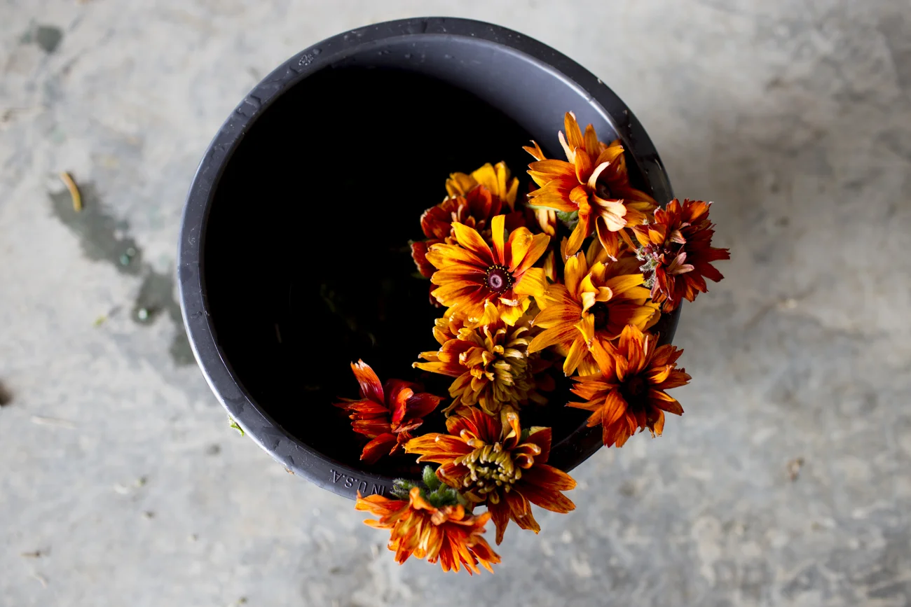 Fall wedding shoot orange flower bucket.jpg