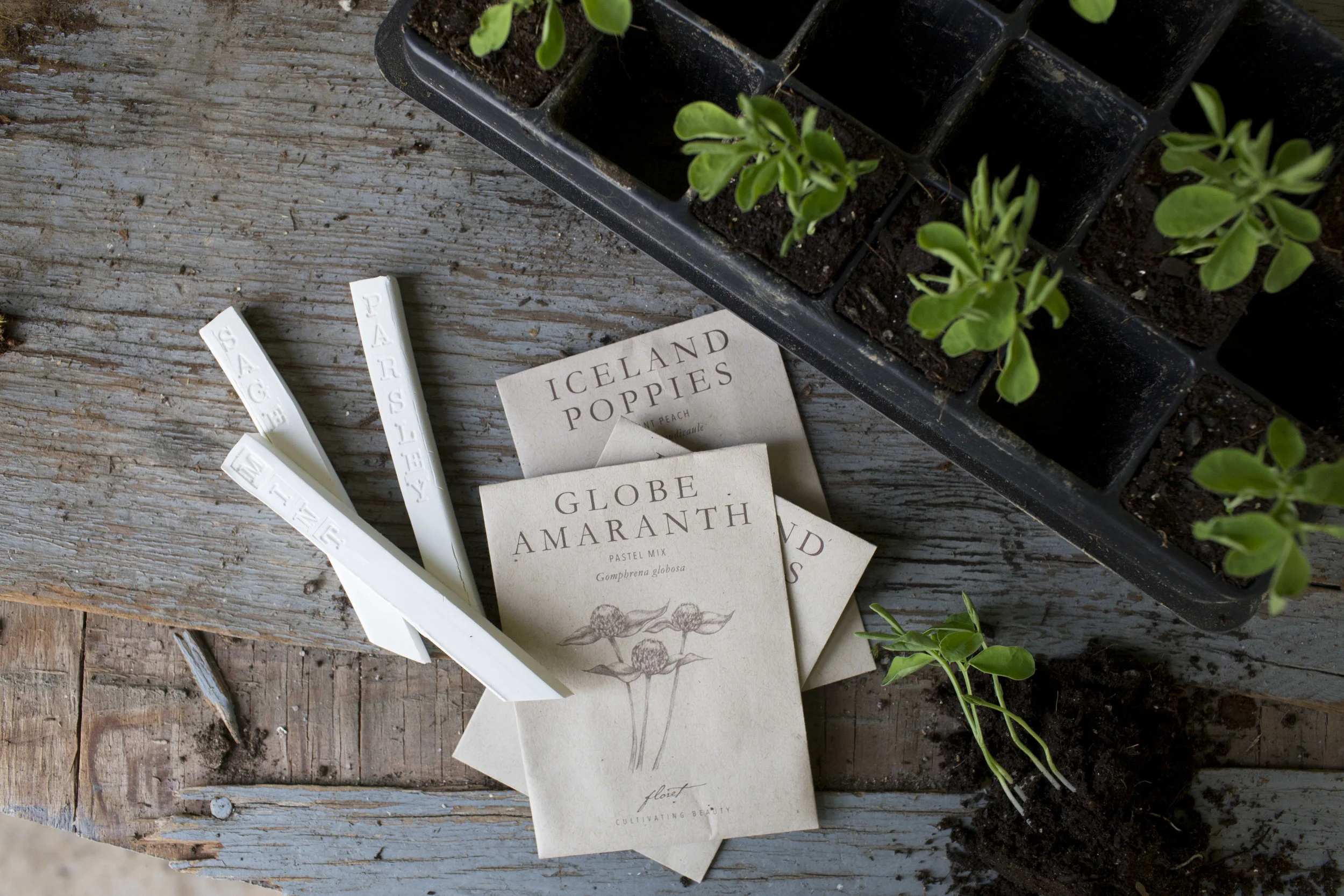 seed starter craft close up 2.jpg