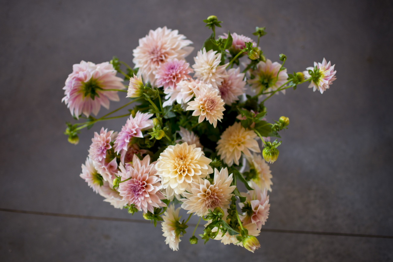 workshop dahlias 3.jpg