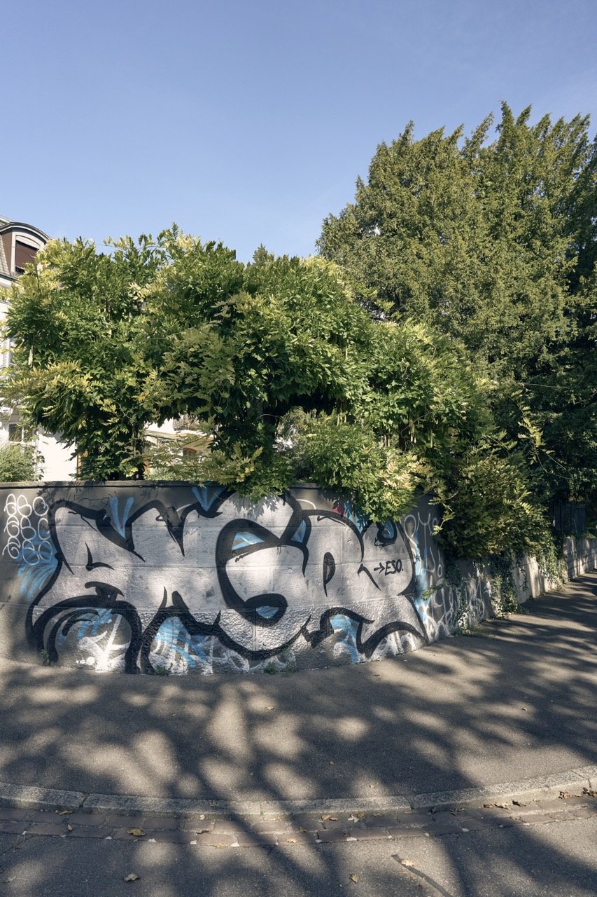 _DSC4938 2 Large.jpeg