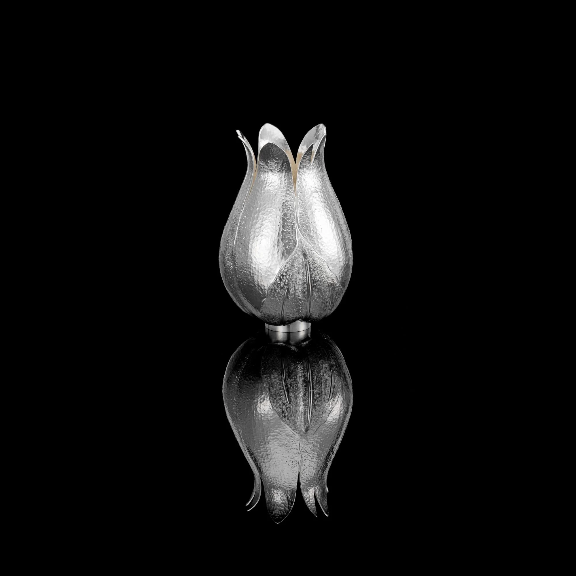 ‘Silene II’ Britannia Silver Vase 04 - Abigail Brown low res.jpg