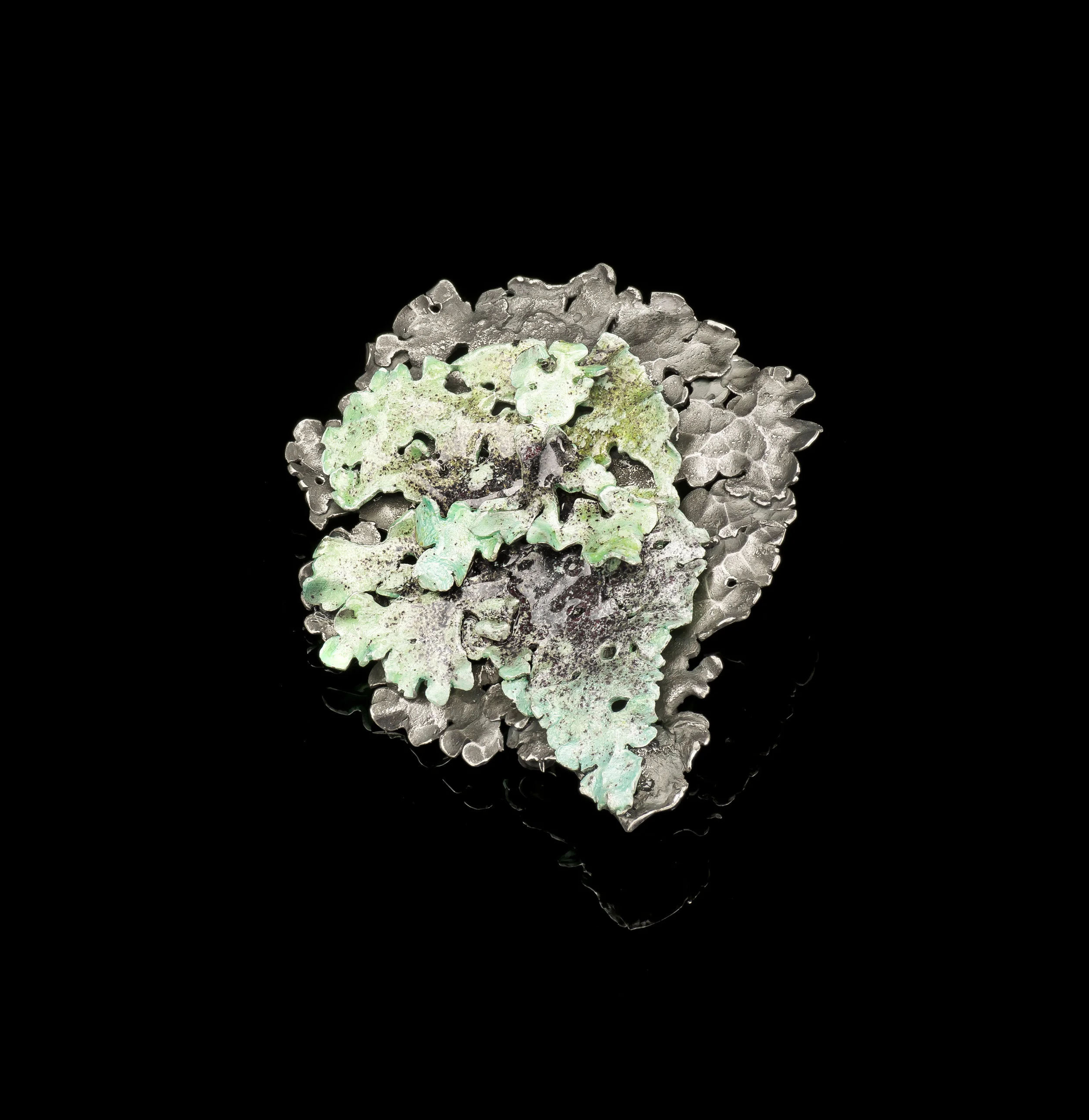 Flavoparmelia Caperata Brooch II