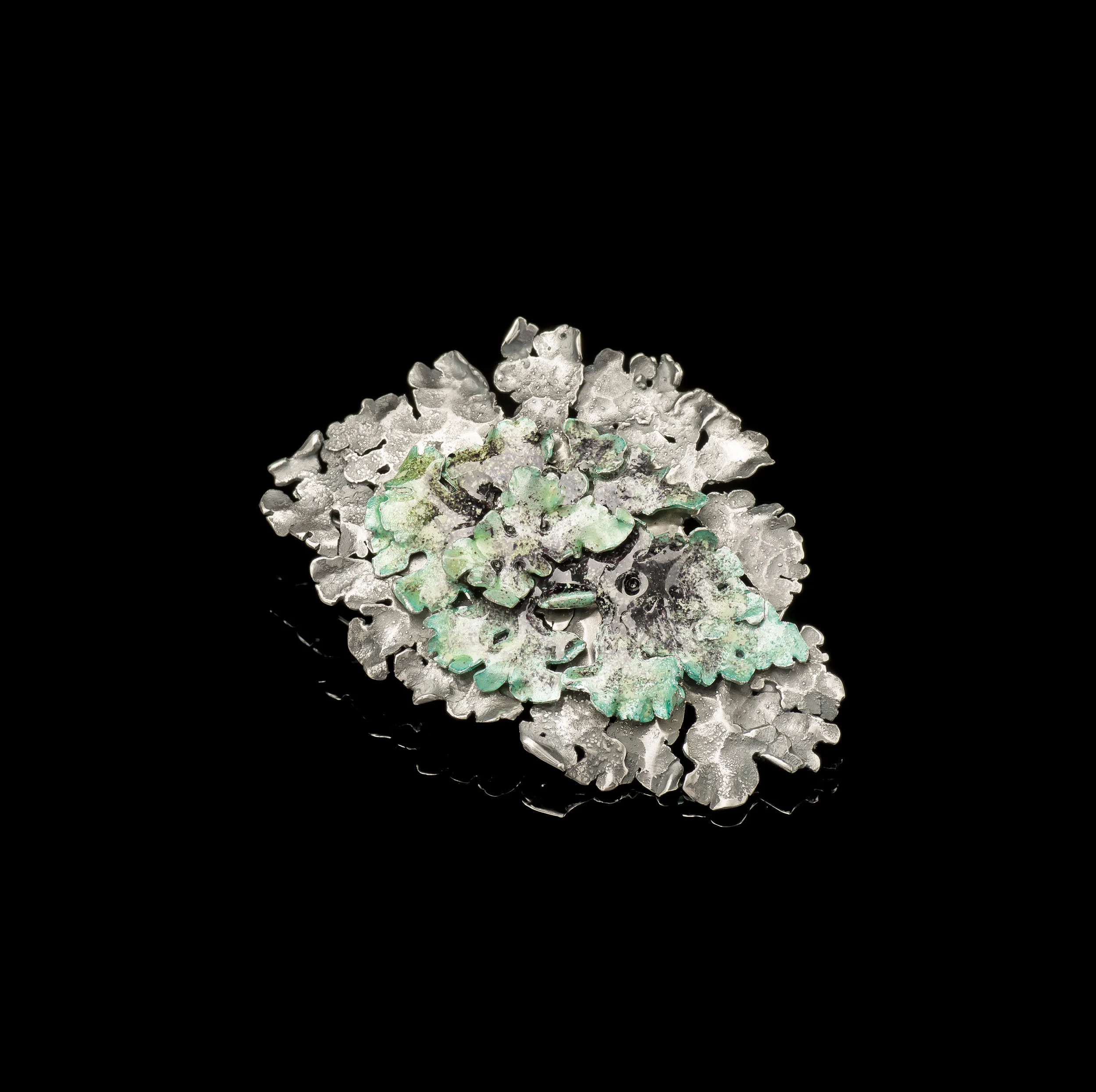 Flavoparmelia Caperata Brooch III 