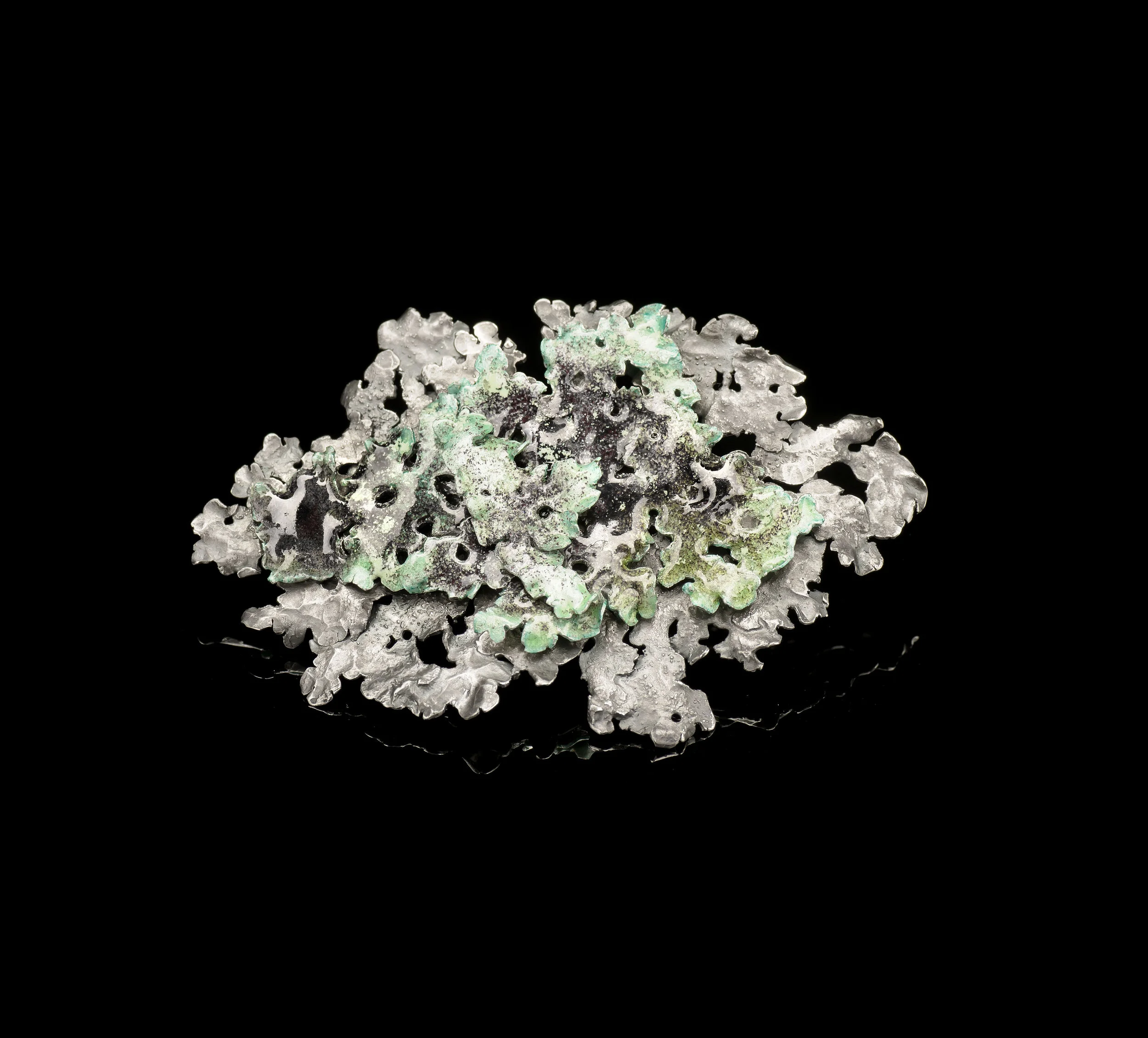 Flavoparmelia Caperata Large Brooch I