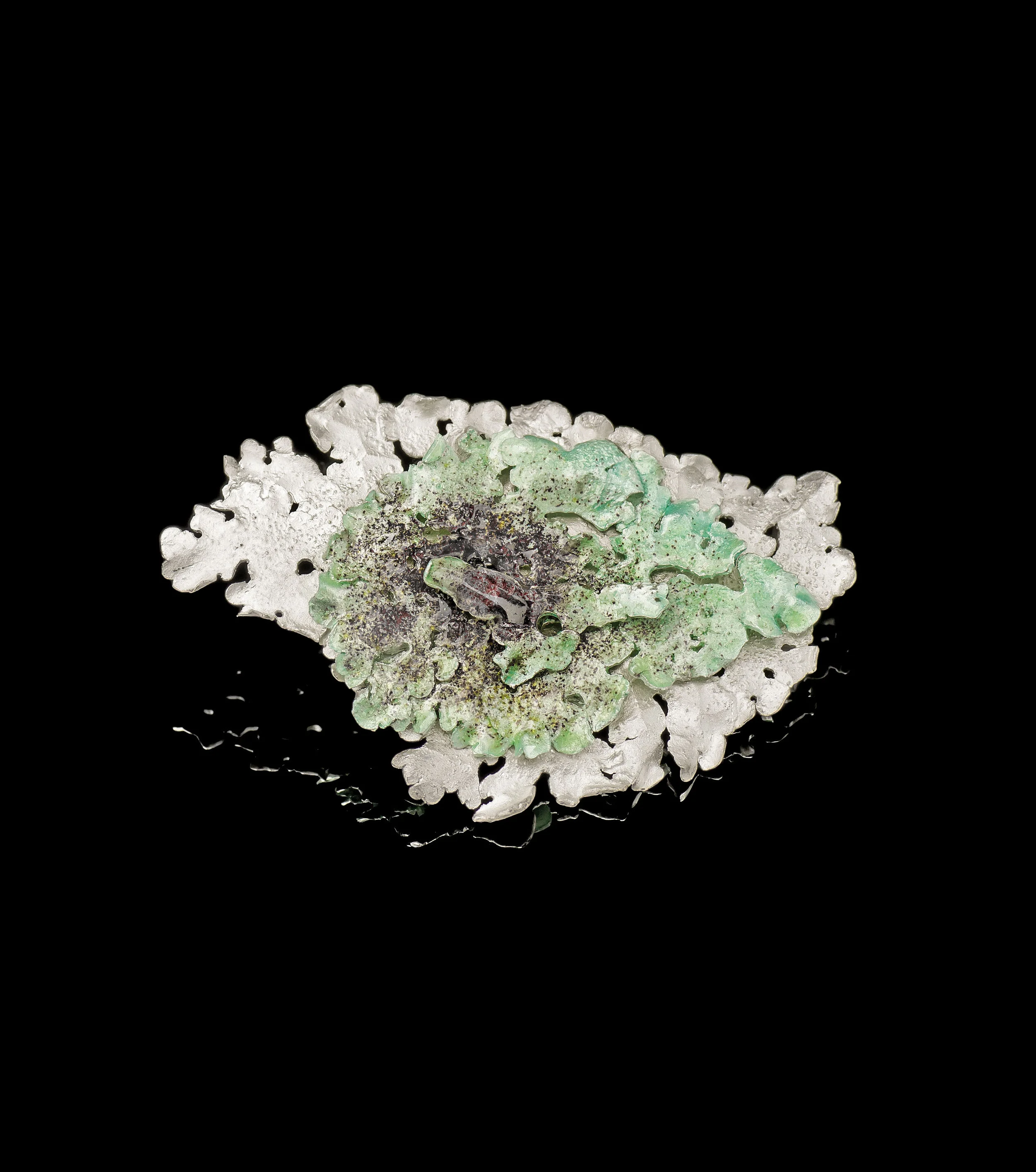 Flavoparmelia Caperata V White Brooch