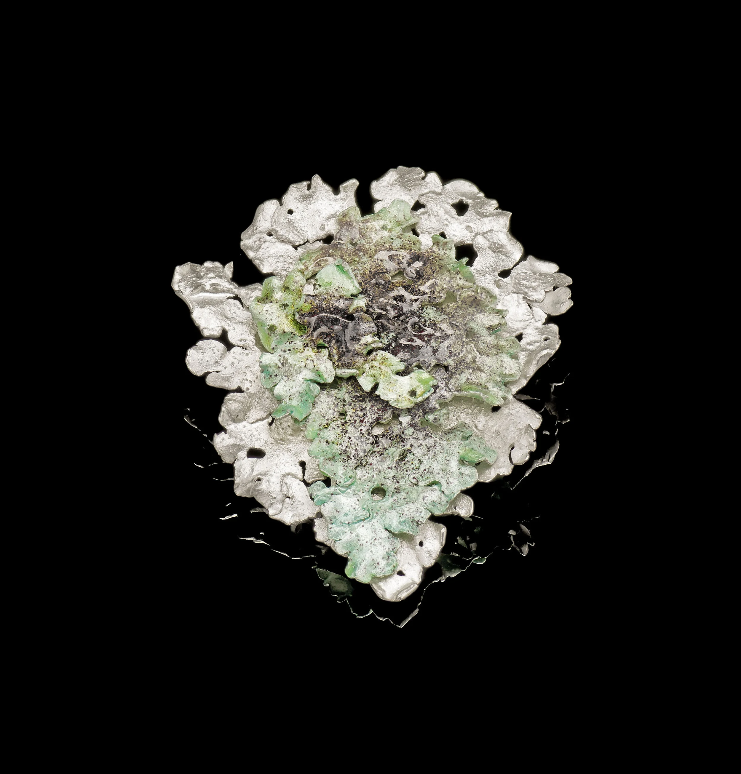 Flavoparmelia Caperata VI White Brooch