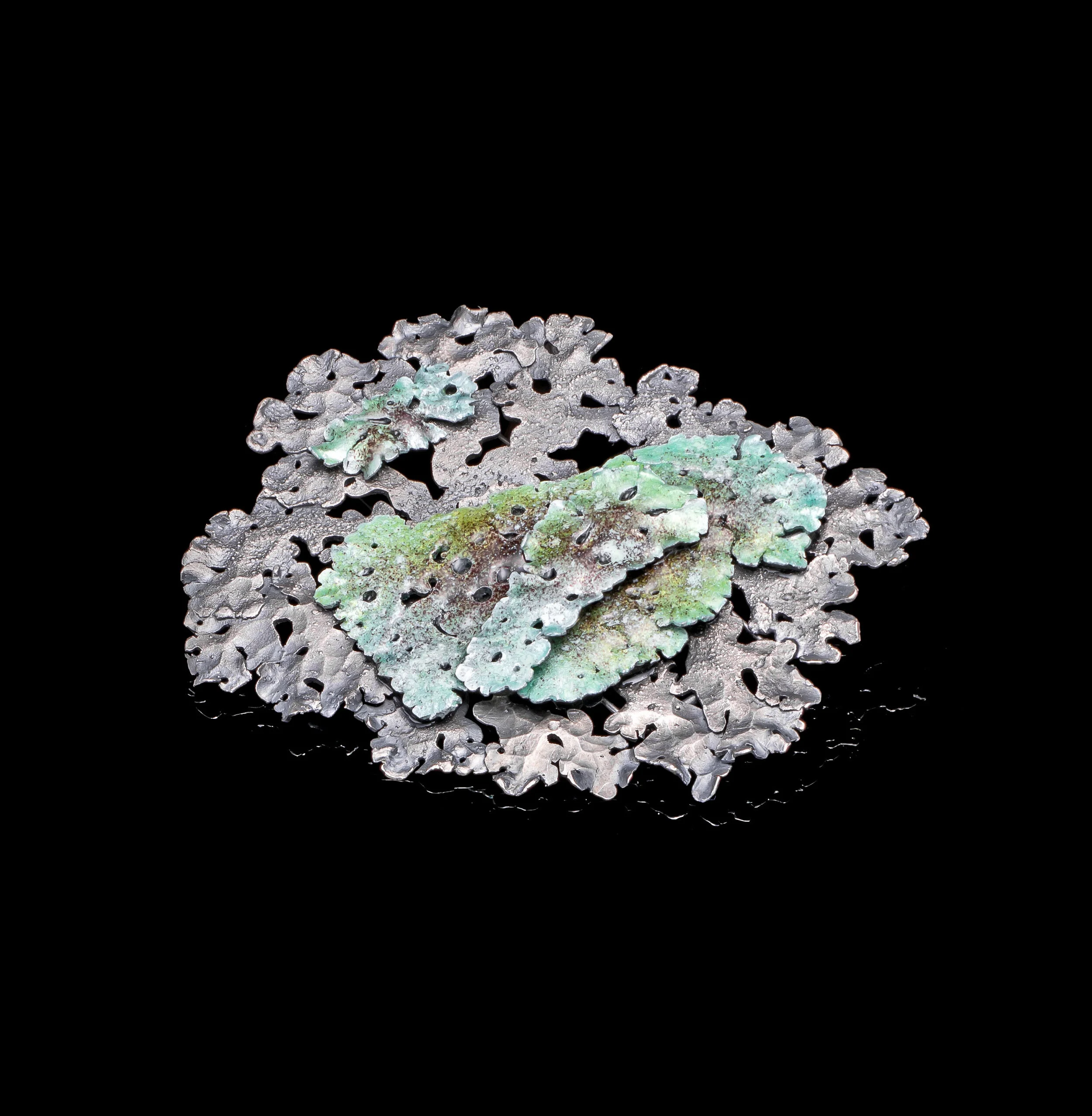 Flavoparmelia Caperata Large Brooch II