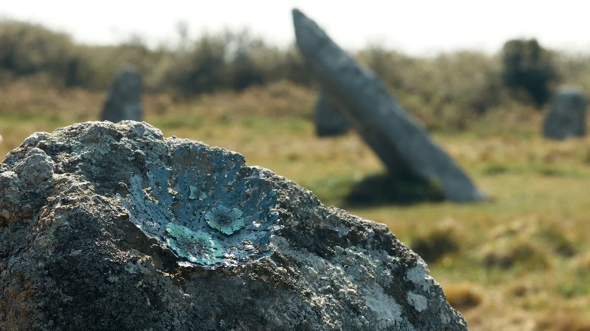 Newsletter: After Lammas 2025