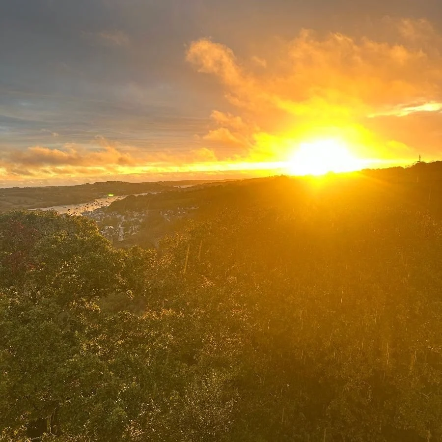 Newsletter: Twix Samain &amp; Yule 2025