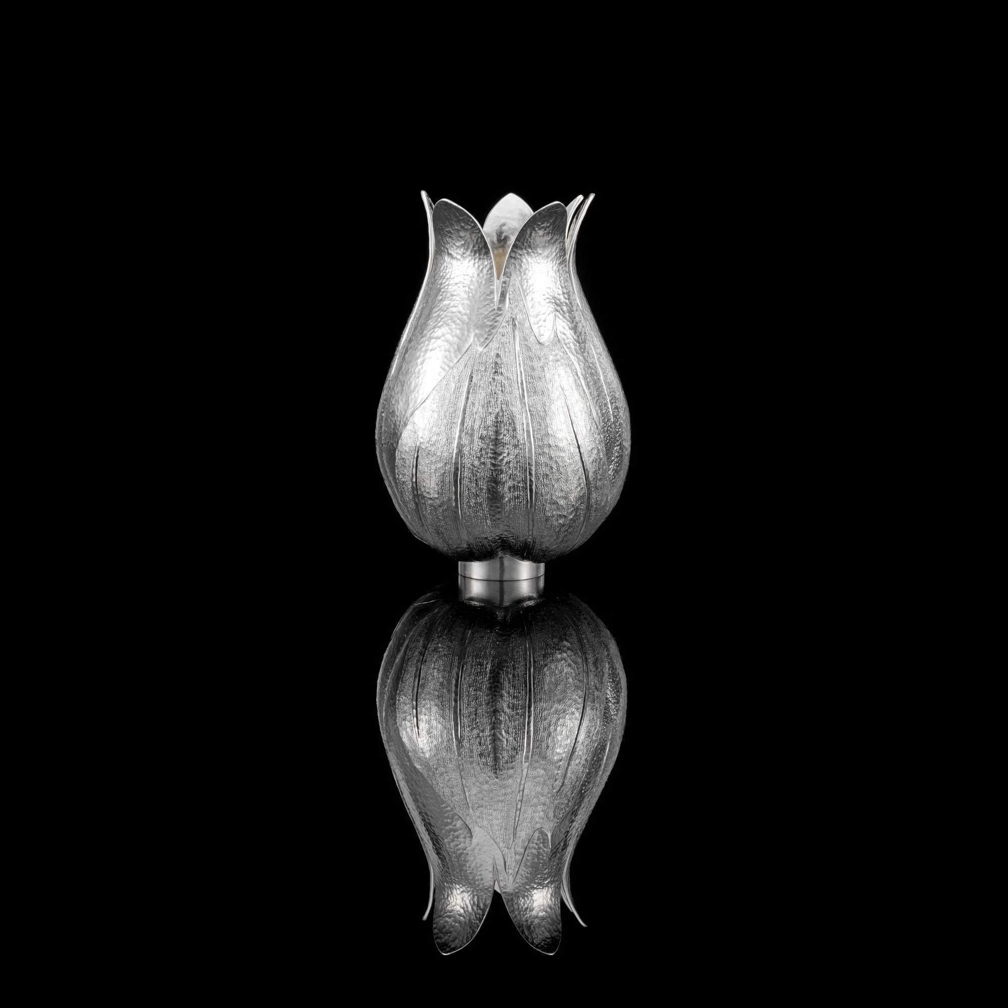 ‘Silene II’ Britannia Silver Vase 01 - Abigail Brown low res.jpg