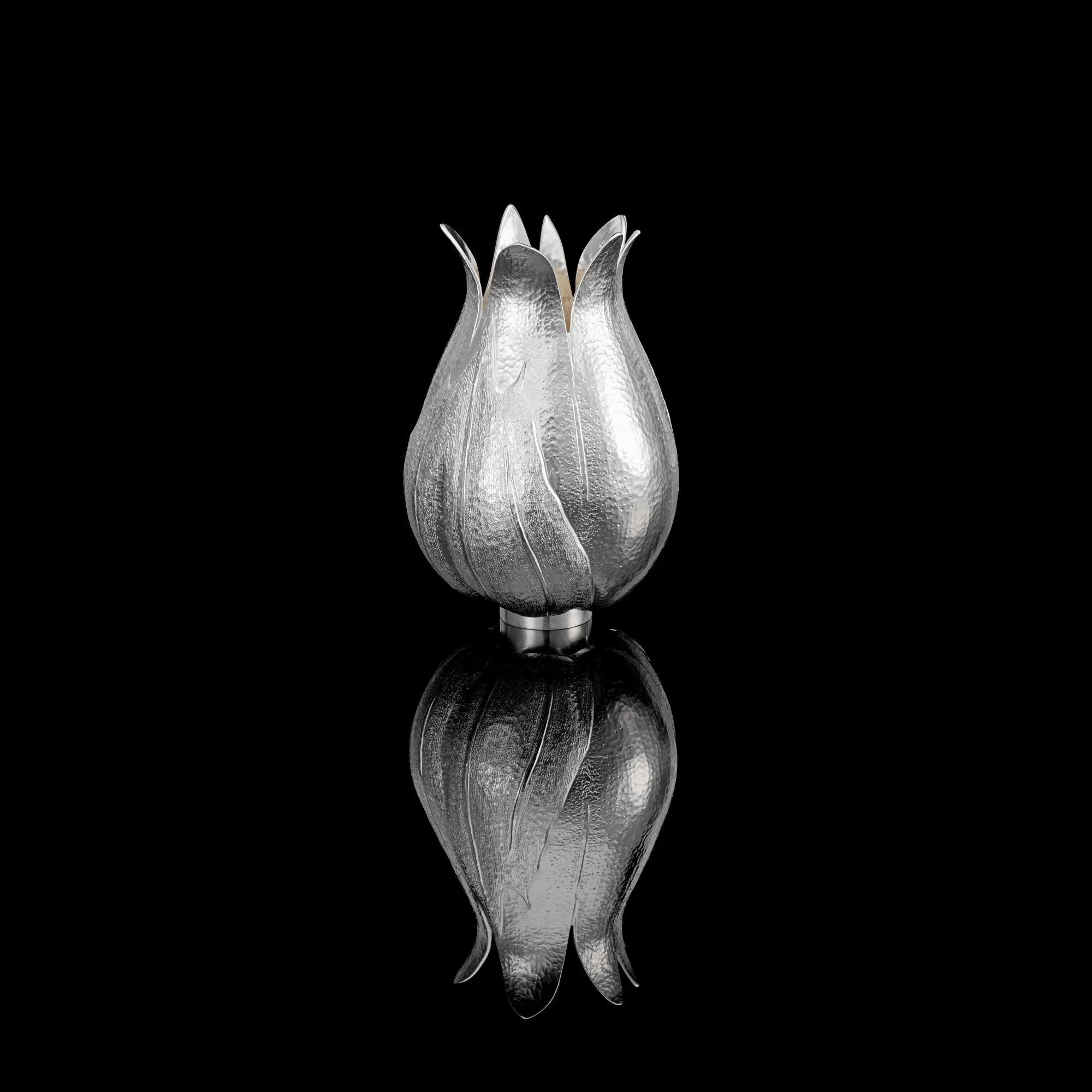 ‘Silene II’ Britannia Silver Vase 03 - Abigail Brown low res.jpg