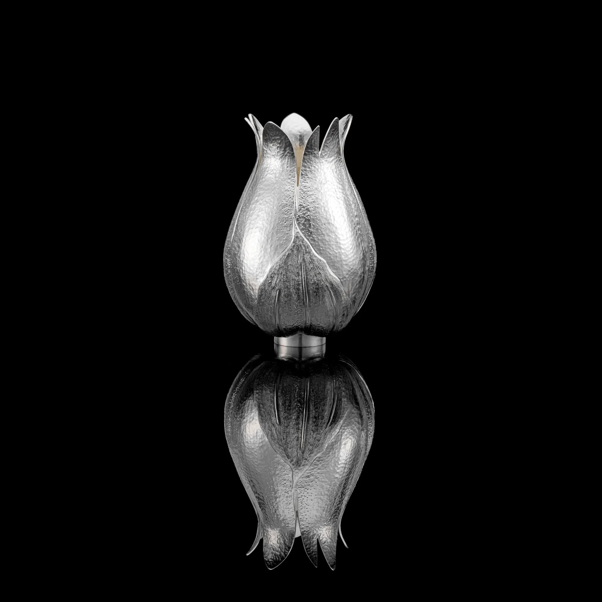 ‘Silene II’ Britannia Silver Vase 02 - Abigail Brown low res.jpg