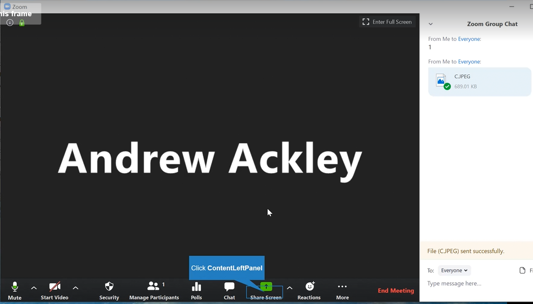 Rapid Fire Tutorials: Zoom Depositions Exhibits