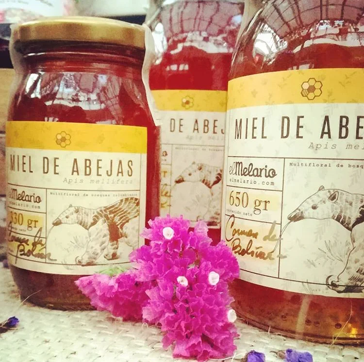 image courtesy of el melario